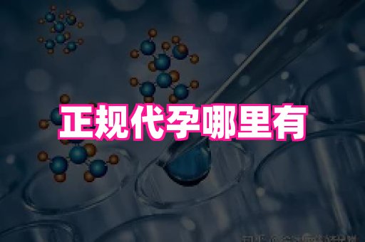 海口助孕网站 1