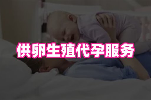 海口助孕网站 2