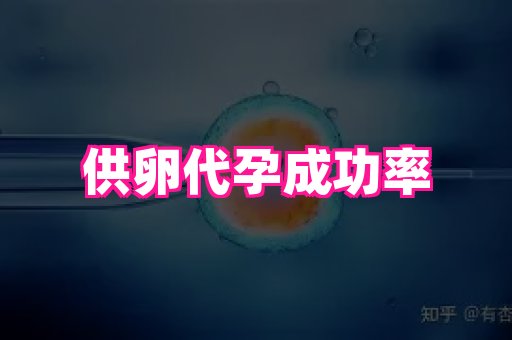 海口助孕网站 3