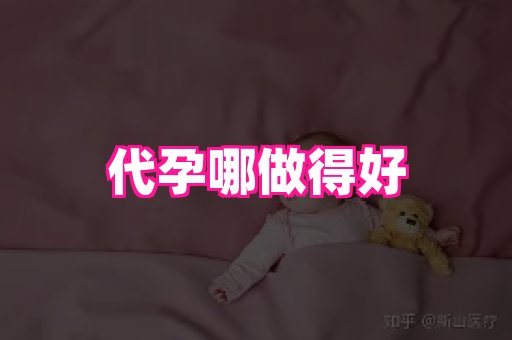 海口助孕网站 4